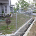 Hot Dipped Galvanized Roll Top Fence